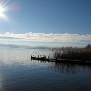 Am See